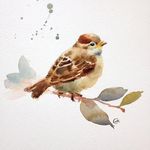 The Other Sparrows