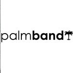 The Palm Band