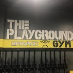 Steven | Playground Gym