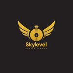 SKY LEVEL RECORDS