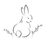 The Tiny Rabbit Co.