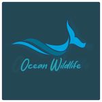 Ocean Wildlife