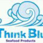 ThinkBluMex