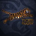 Tiger Rugby