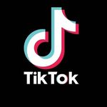 tik tok viral idn