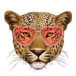 Timeless🐆 Timeless🐆