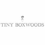 Tiny Boxwoods Austin