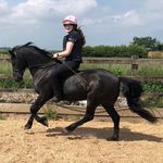 TILLY TRACEY~Equestrian