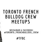 Toronto French Bulldog Crew