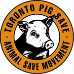 Toronto Pig Save 🐷