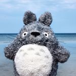 Totoro the Traveller