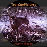 Trail Camera