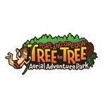 Tree To Tree Adventure Park