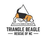 Triangle Beagle Rescue