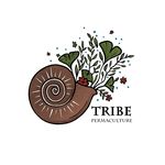 Tribe Permaculture