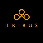 TRIBUS