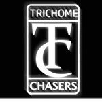 TrichomeChasers.TV