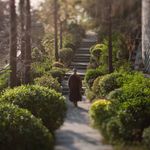 Tsz Shan Monastery 慈山寺