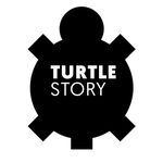 Turtle Story