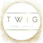 Twig Model Group