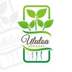'Ululoa Nursery, LLC