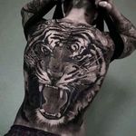 Amazing Tattoos & Artists