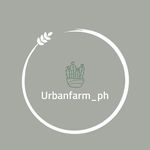 Urban farm Ph