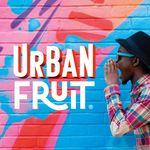 Urban Fruit: Healthy Snacks