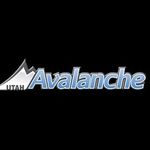 Utah Avalanche Soccer