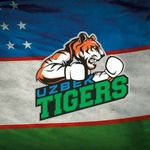 Uzbek Tigers Official