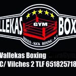 Vallekas Boxing