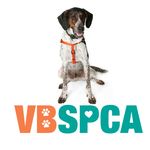 Virginia Beach SPCA