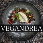 Vegan Gourmet Chef