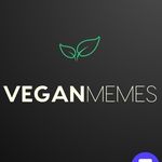 Vegan Memes