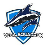 Vega Squadron