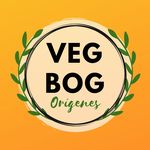 Vegbog Orígenes