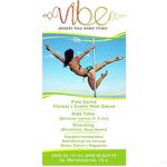 ViBE Pole Dance Studio ZP