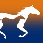 Thoroughbred Breeders Victoria