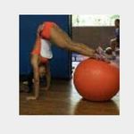 videosdetreino