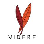 Videre