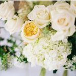 Virginia Rose Floral & Events