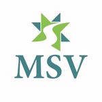 The MSV