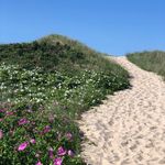 Visit Nantucket Island