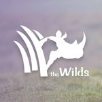 The Wilds