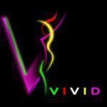 Vivid LLC