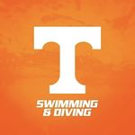 University of Tennessee Diving