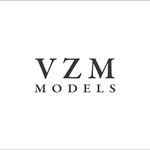 VZM Models