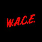 W.A.C.E. Embroidery™