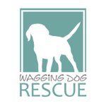 Wagging Dog Rescue