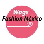 WAGS FASHION MEXICO